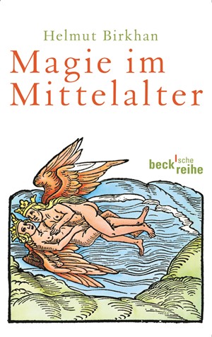 Cover: Helmut Birkhan, Magie im Mittelalter