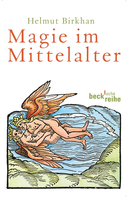 Cover: Helmut Birkhan, Magie im Mittelalter