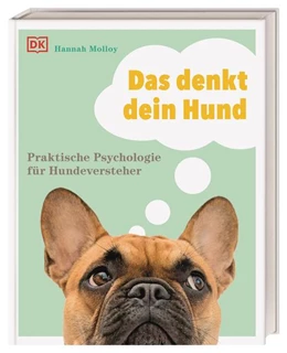 Abbildung von Molloy | Das denkt dein Hund | 1. Auflage | 2021 | beck-shop.de