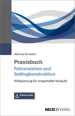 Abbildung von Schwabe | Praxisbuch Fallverstehen und Settingkonstruktion | 1. Auflage | 2021 | beck-shop.de