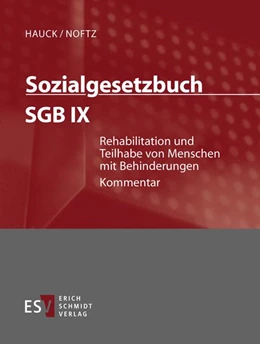 Abbildung von Frerichs / Oppermann | Sozialgesetzbuch (SGB) IX: Rehabilitation und Teilhabe von Menschen mit Behinderungen - mit Aktualisierungsservice | 1. Auflage | 2024 | beck-shop.de