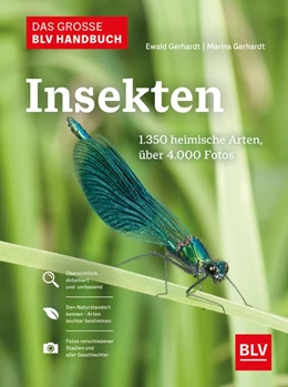 Abbildung von Gerhardt | Das große BLV Handbuch Insekten | 1. Auflage | 2021 | beck-shop.de