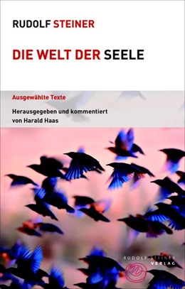Abbildung von Steiner / Haas | Die Welt der Seele | 1. Auflage | 2021 | beck-shop.de
