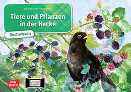 Abbildung von Stöckl-Bauer | Tiere und Pflanzen in der Hecke. Kamishibai Bildkartenset | 1. Auflage | 2021 | beck-shop.de