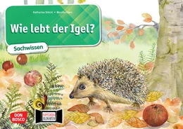 Abbildung von Stöckl-Bauer | Wie lebt der Igel? Kamishibai Bildkartenset. | 1. Auflage | 2022 | beck-shop.de