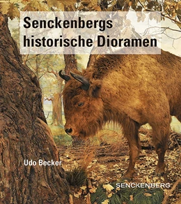 Abbildung von Becker / Scheersoi | Senckenbergs historische Dioramen | 1. Auflage | 2020 | beck-shop.de