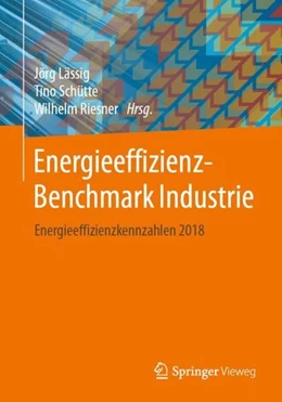 Abbildung von Lässig / Schütte | Energieeffizienz-Benchmark Industrie | 1. Auflage | 2020 | beck-shop.de