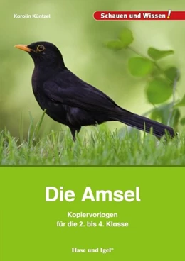 Abbildung von Küntzel | Die Amsel - Kopiervorlagen für die 2. bis 4. Klasse | 1. Auflage | 2021 | beck-shop.de