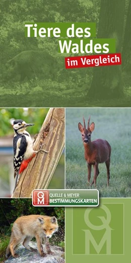 Abbildung von Quelle & Meyer Verlag | Tiere des Waldes | 1. Auflage | 2021 | beck-shop.de
