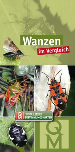Abbildung von Quelle & Meyer Verlag | Wanzen | 1. Auflage | 2021 | beck-shop.de
