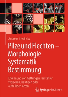 Abbildung von Bresinsky | Pilze und Flechten – Morphologie, Systematik, Bestimmung | 1. Auflage | 2021 | beck-shop.de