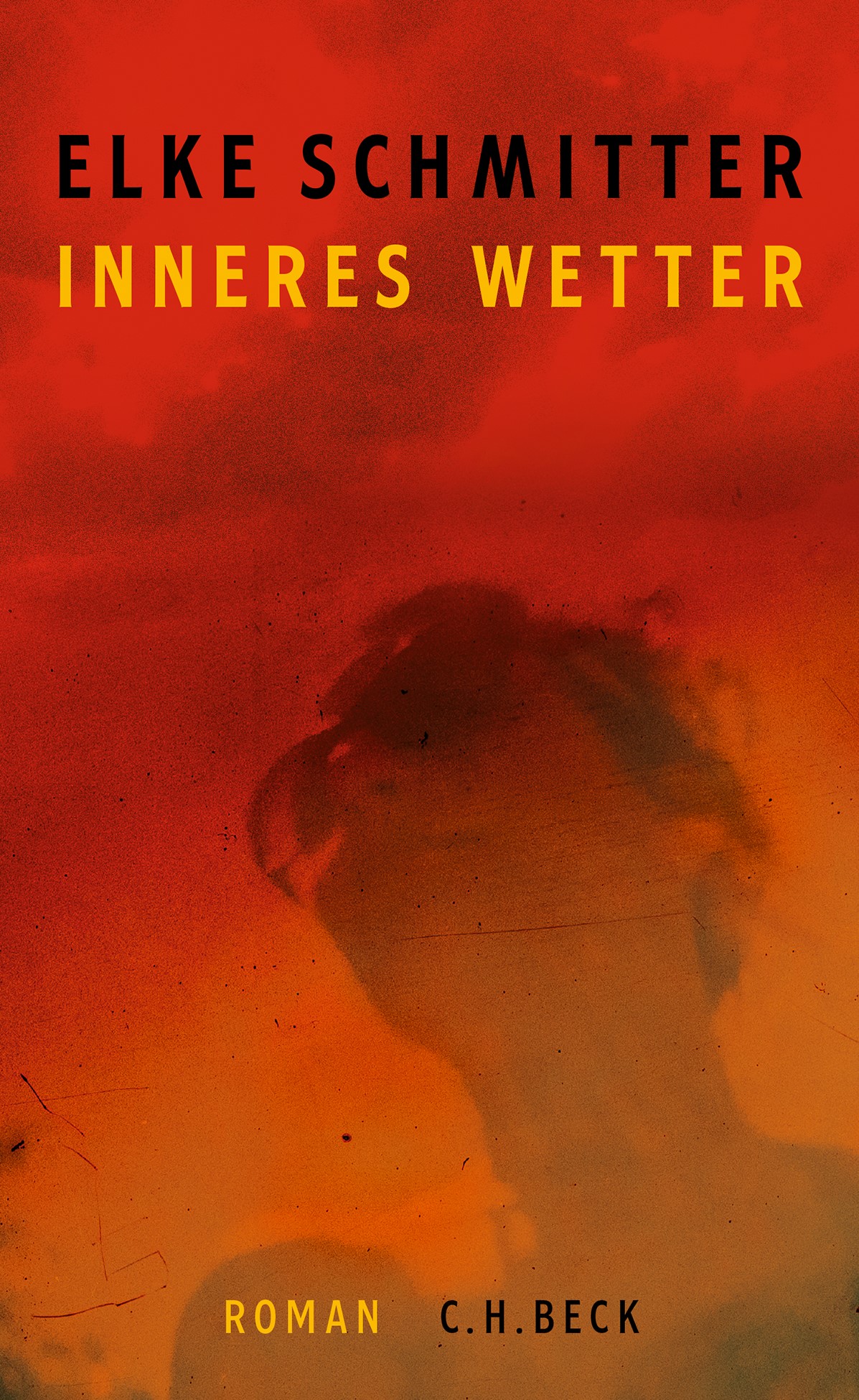 Cover: Schmitter, Elke, Inneres Wetter