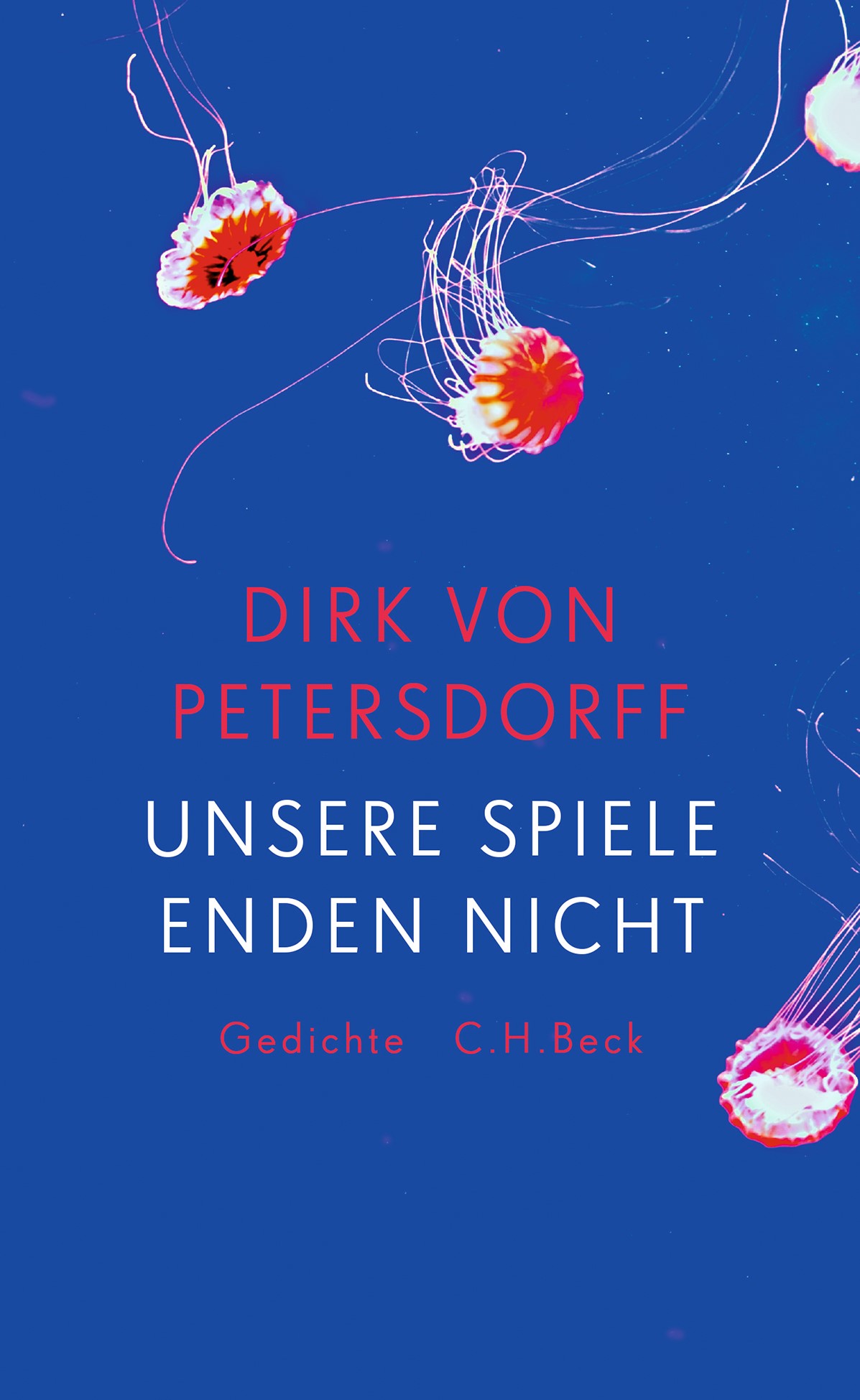 Cover: v. Petersdorff, Dirk, Unsere Spiele enden nicht