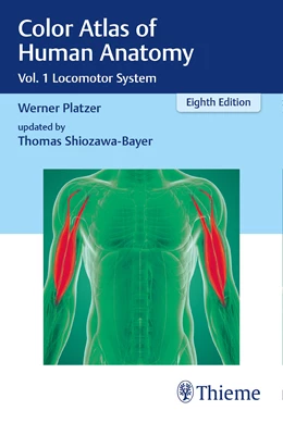 Abbildung von Platzer / Shiozawa-Bayer | Color Atlas of Human Anatomy | 8. Auflage | 2022 | beck-shop.de