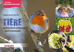 Abbildung von Bestle-Körfer | Kleine Waldentdecker: Tiere | 1. Auflage | 2021 | beck-shop.de
