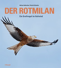 Abbildung von Aebischer / Scherler | Der Rotmilan | 1. Auflage | 2021 | beck-shop.de