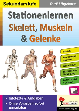 Abbildung von Lütgeharm | Stationenlernen Skelette, Muskeln & Gelenke | 2. Auflage | 2020 | beck-shop.de