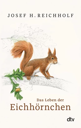Abbildung von Reichholf | Das Leben der Eichhörnchen | 1. Auflage | 2021 | beck-shop.de