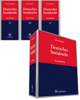 Abbildung von Schelter | Deutsches Sozialrecht | 1. Auflage | 2019 | beck-shop.de