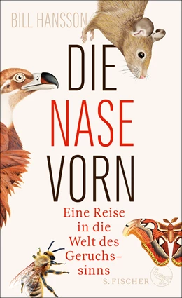 Abbildung von Hansson | Die Nase vorn | 1. Auflage | 2021 | beck-shop.de