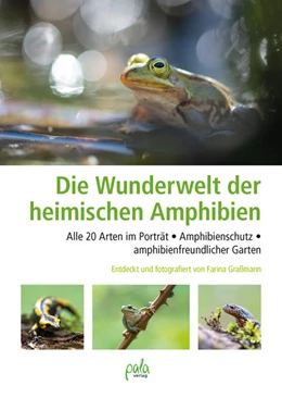 Abbildung von Graßmann | Wunderwelt heimische Amphibien | 1. Auflage | 2022 | beck-shop.de
