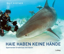 Abbildung von Kiefner | Haie haben keine Hände - Spannende Erlebnisse mit Haien | 1. Auflage | 2021 | beck-shop.de