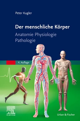 Abbildung von Kugler | Der menschliche Körper | 4. Auflage | 2021 | beck-shop.de