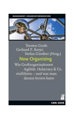 Abbildung von Groth / Krejci | New Organizing | 1. Auflage | 2021 | beck-shop.de