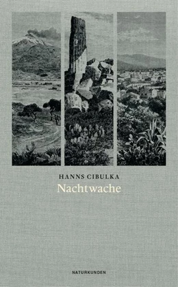 Abbildung von Cibulka / Kleinschmidt | Nachtwache | 1. Auflage | 2022 | beck-shop.de