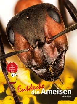 Abbildung von Klinger | Entdecke die Ameisen | 1. Auflage | 2021 | beck-shop.de