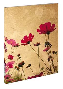 Abbildung von Poppy Flowers | 1. Auflage | 2021 | beck-shop.de
