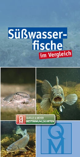 Abbildung von Quelle & Meyer Verlag | Süßwasserfische im Vergleich | 1. Auflage | 2021 | beck-shop.de
