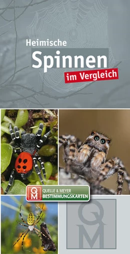 Abbildung von Quelle & Meyer Verlag | Heimische Spinnen | 1. Auflage | 2021 | beck-shop.de