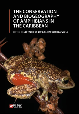 Abbildung von Ríos-López / Heatwole | The Conservation and Biogeography of Amphibians in the Caribbean | 1. Auflage | 2022 | beck-shop.de