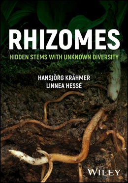 Abbildung von Kraehmer / Hesse | Rhizomes | 1. Auflage | 2024 | beck-shop.de