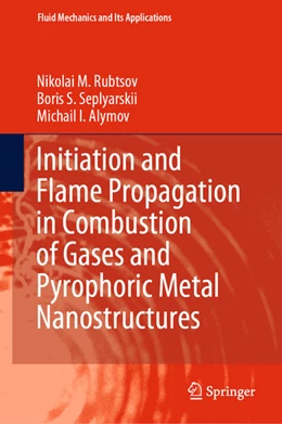 Abbildung von Rubtsov / Seplyarskii | Initiation and Flame Propagation in Combustion of Gases and Pyrophoric Metal Nanostructures | 1. Auflage | 2020 | beck-shop.de