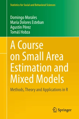 Abbildung von Morales / Esteban | A Course on Small Area Estimation and Mixed Models | 1. Auflage | 2021 | beck-shop.de