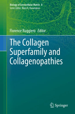 Abbildung von Ruggiero | The Collagen Superfamily and Collagenopathies | 1. Auflage | 2021 | beck-shop.de