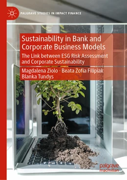 Abbildung von Ziolo / Filipiak | Sustainability in Bank and Corporate Business Models | 1. Auflage | 2021 | beck-shop.de