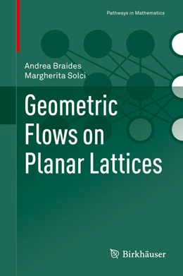 Abbildung von Braides / Solci | Geometric Flows on Planar Lattices | 1. Auflage | 2021 | beck-shop.de