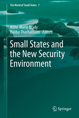 Abbildung von Brady / Thorhallsson | Small States and the New Security Environment | 1. Auflage | 2020 | beck-shop.de