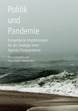 Abbildung von Metelmann | Politik und Pandemie | 1. Auflage | 2021 | beck-shop.de