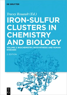 Abbildung von Rouault | Biochemistry, Biosynthesis and Human Diseases | 2. Auflage | 2017 | beck-shop.de