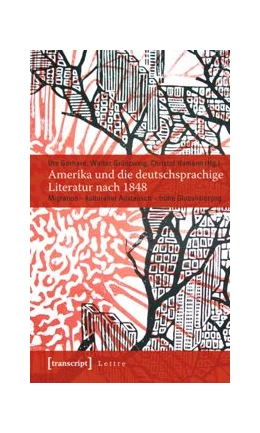 Abbildung von Hamann / Gerhard | Amerika und die deutschsprachige Literatur nach 1848 | 1. Auflage | 2015 | beck-shop.de