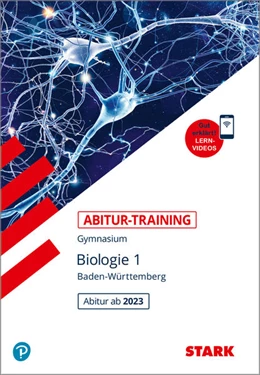 Abbildung von Bils | STARK Abitur-Training - Biologie Band 1 - BaWü ab 2023 | 1. Auflage | 2023 | beck-shop.de