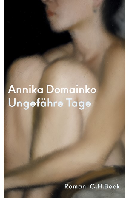 Cover: Annika Domainko, Ungefähre Tage