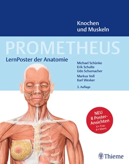 Abbildung von Schünke / Schulte | PROMETHEUS LernPoster der Anatomie, Knochen und Muskeln | 3. Auflage | 2021 | beck-shop.de