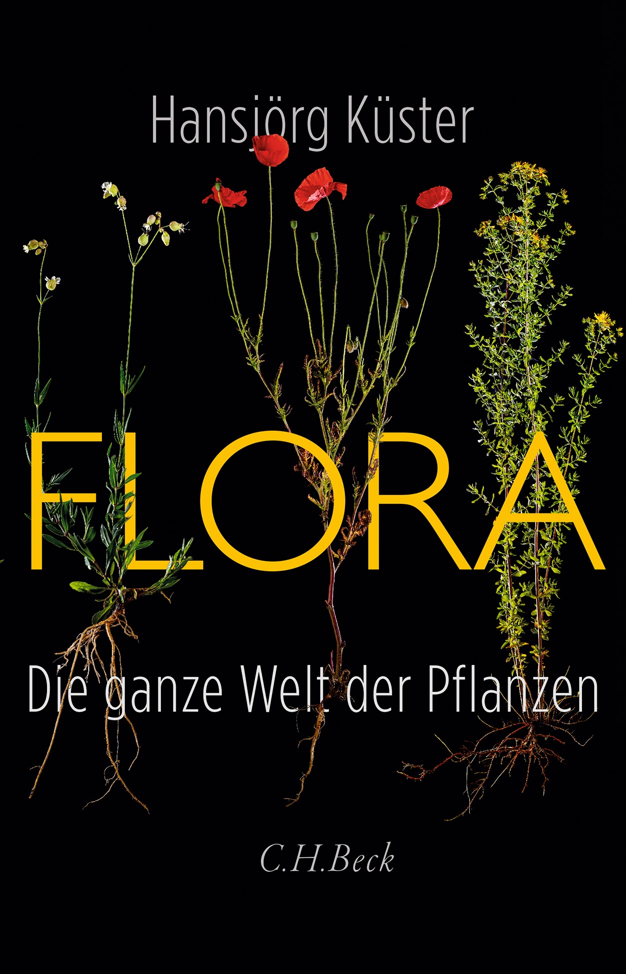 Cover: Küster, Hansjörg, Flora