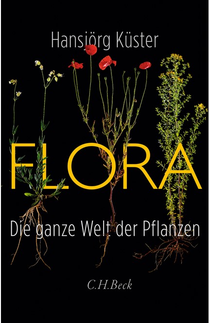 Cover: Hansjörg Küster, Flora