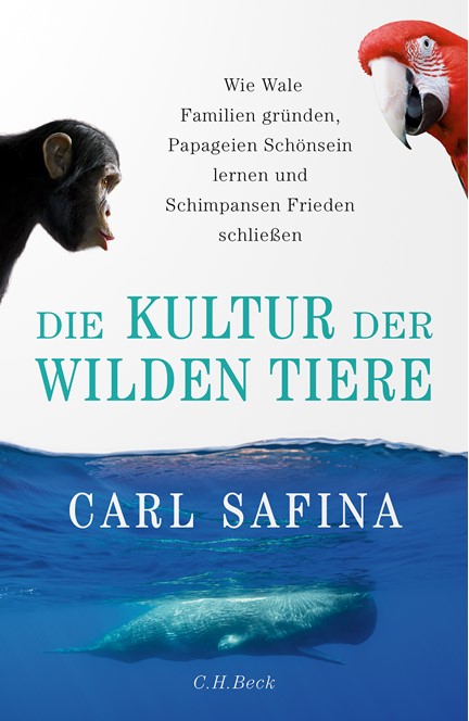 Cover: Carl Safina, Die Kultur der wilden Tiere